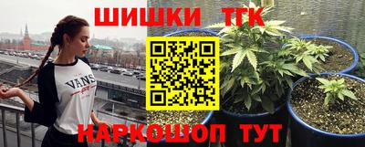 ALPHA PVP Малгобек