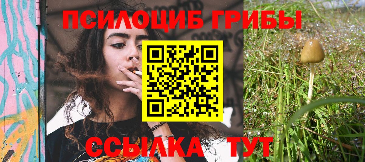 Псилоцибиновые грибы ЛСД  Галлюциногенные грибы Cubensis  Димитровград  Вход с VPN 